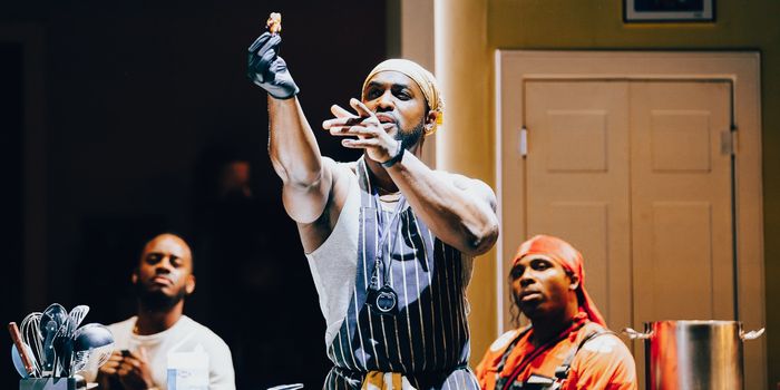 The Hot Wing King: A Love Story About Gay Identity, Race, Fatherhood and Chicken