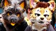 Gay Furry Hacker Group Announces It’s Disbanding Due To FBI Concerns