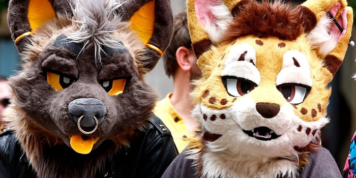 Gay Furry Hacker Group Announces It’s Disbanding Due To FBI Concerns